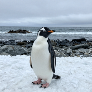 aaaaaaaaaaaaaaaaaaaaaaaaaaaaaaaaaaaaaaaaaaaaaa